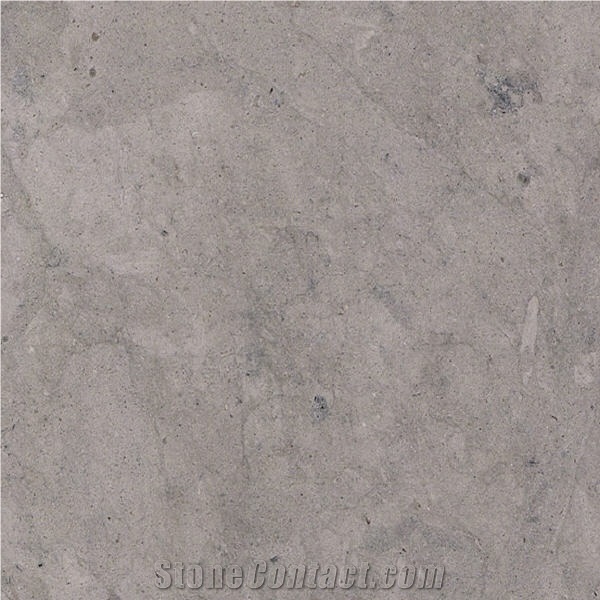 Elegant Grey Limestone 
