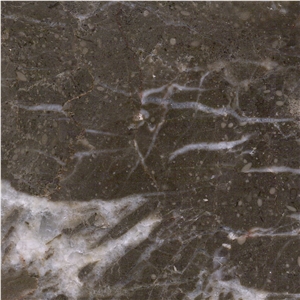 Estonia Gray