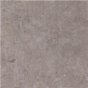 Eurasian Brown Marble