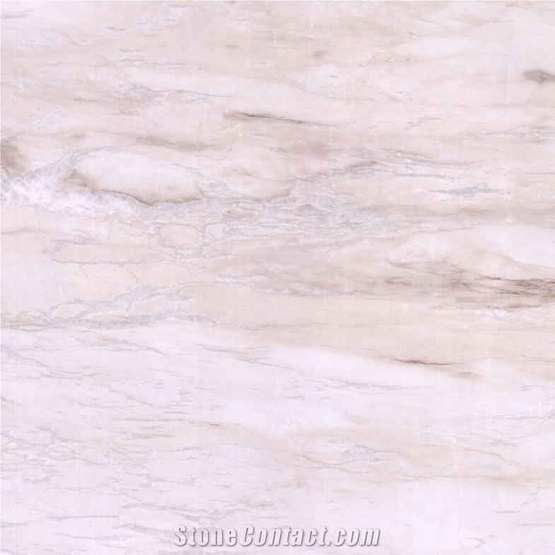 Eurasian White Wood Marble 
