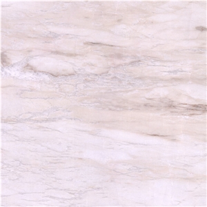 Eurasian White Wood Marble