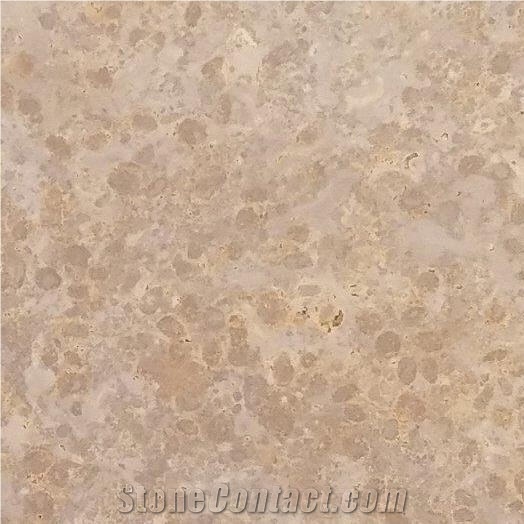 EW Gold Limestone 