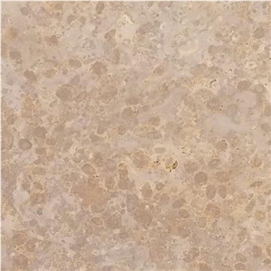 EW Gold Limestone