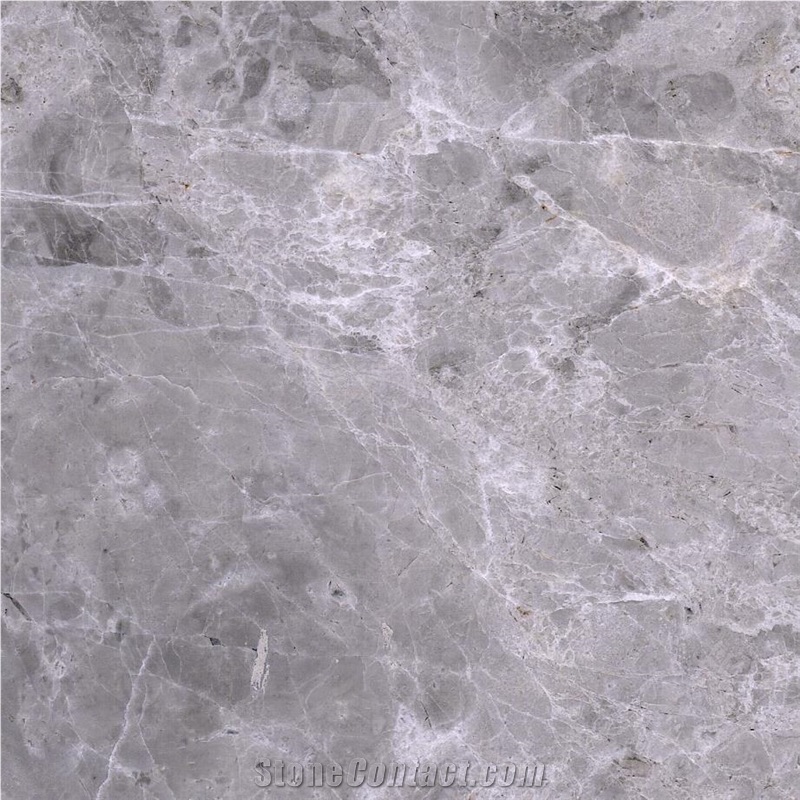 Fatty Grey Marble Tile