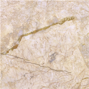 Feather Gold Marble Tile