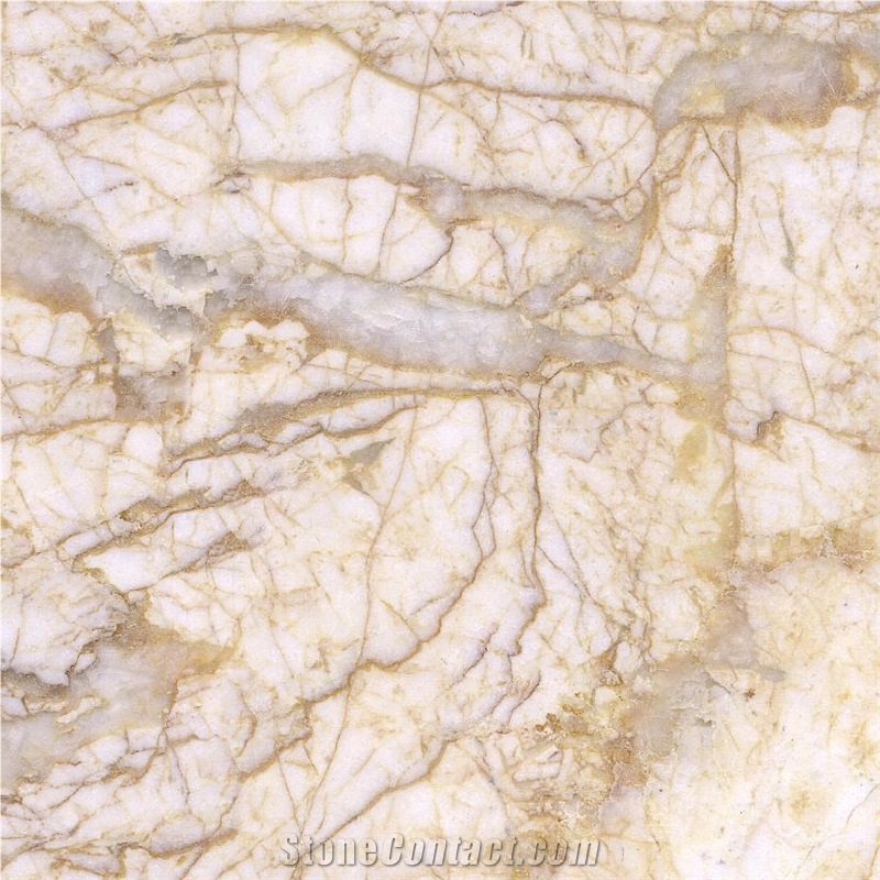 Feather Gold Marble Tile