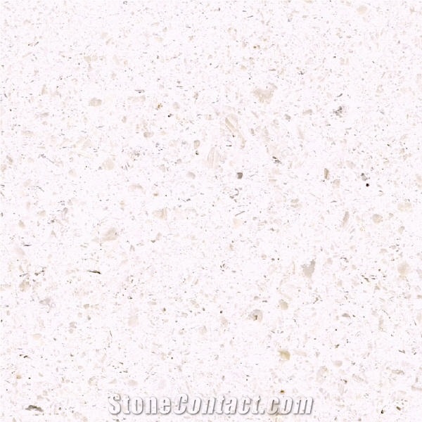 Finike White Fossil Limestone 