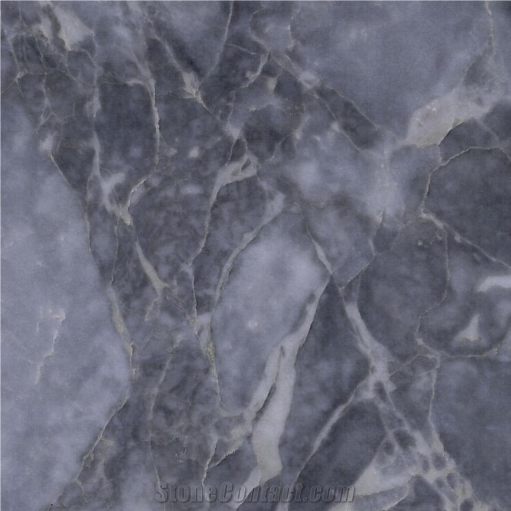 Forest Gray Marble 