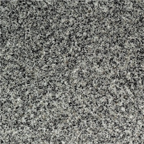 Forest Grey Granite 