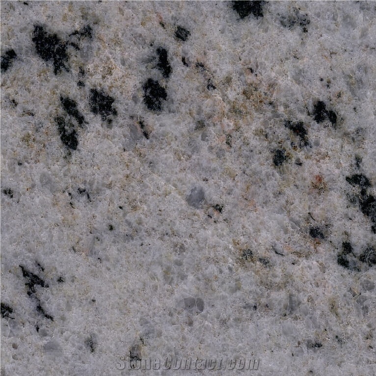 Forest White Granite Tile