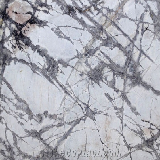 Forest White Marble 