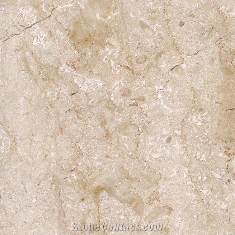 Fortune Beige Marble 