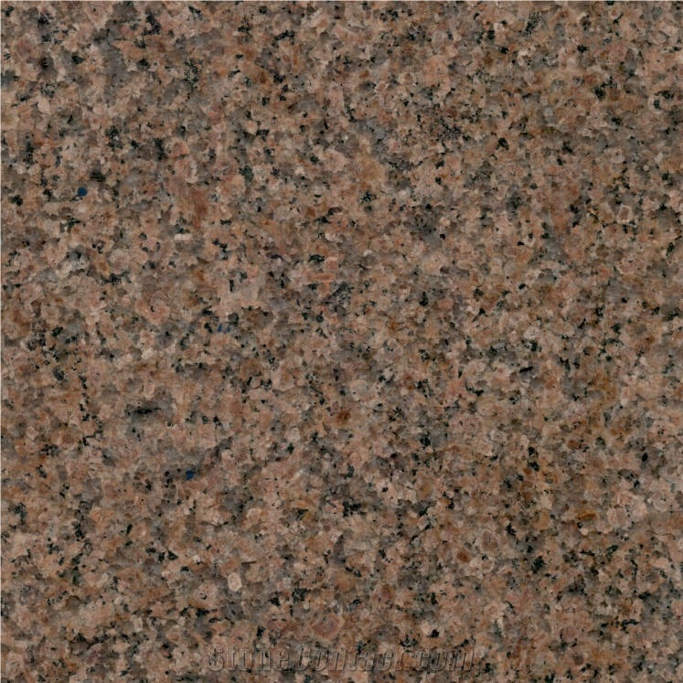 Fortune Brown Granite 