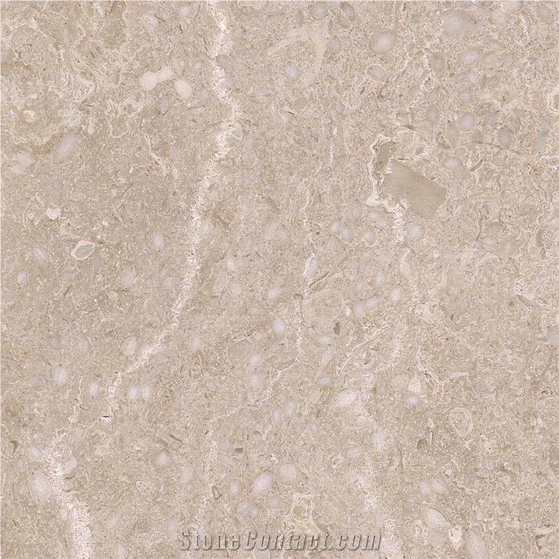 French Beige Marble Tile