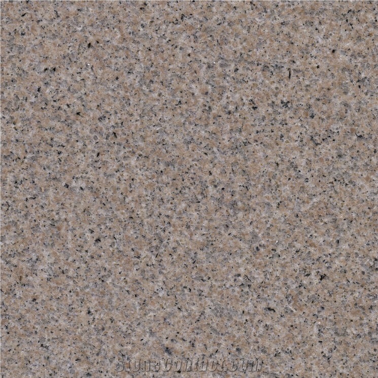 G029 Granite 
