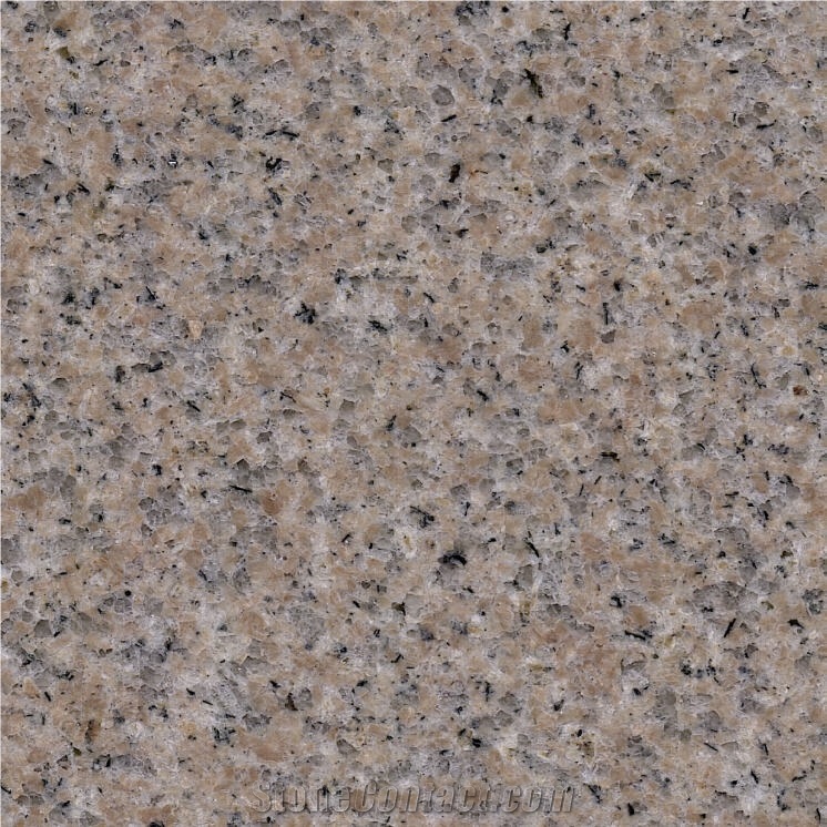 G029 Granite Tile