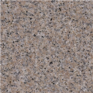 G029 Granite Tile