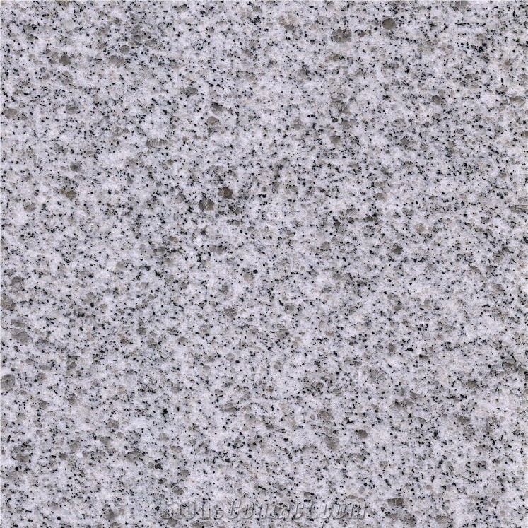 G303 Granite Tile