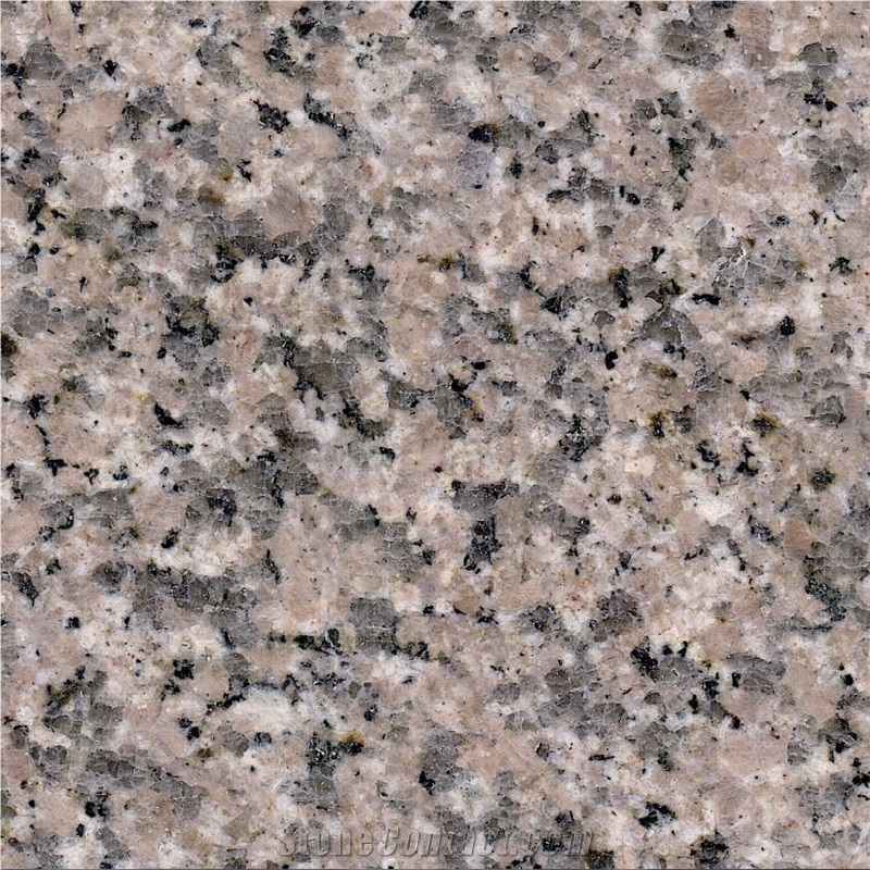 G364 Granite 