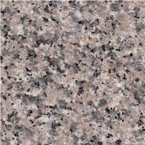 G364 Granite