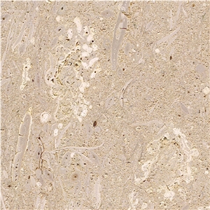 Giallo Dorato Limestone