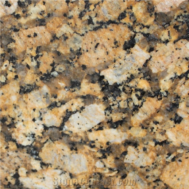Giallo Fiorito Granite Gold Granite Stonecontact Com