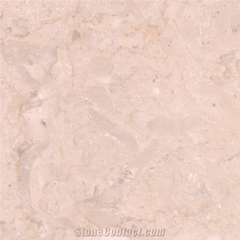 Gingember Marble 