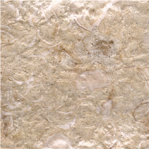 Gjirokastra Limestone