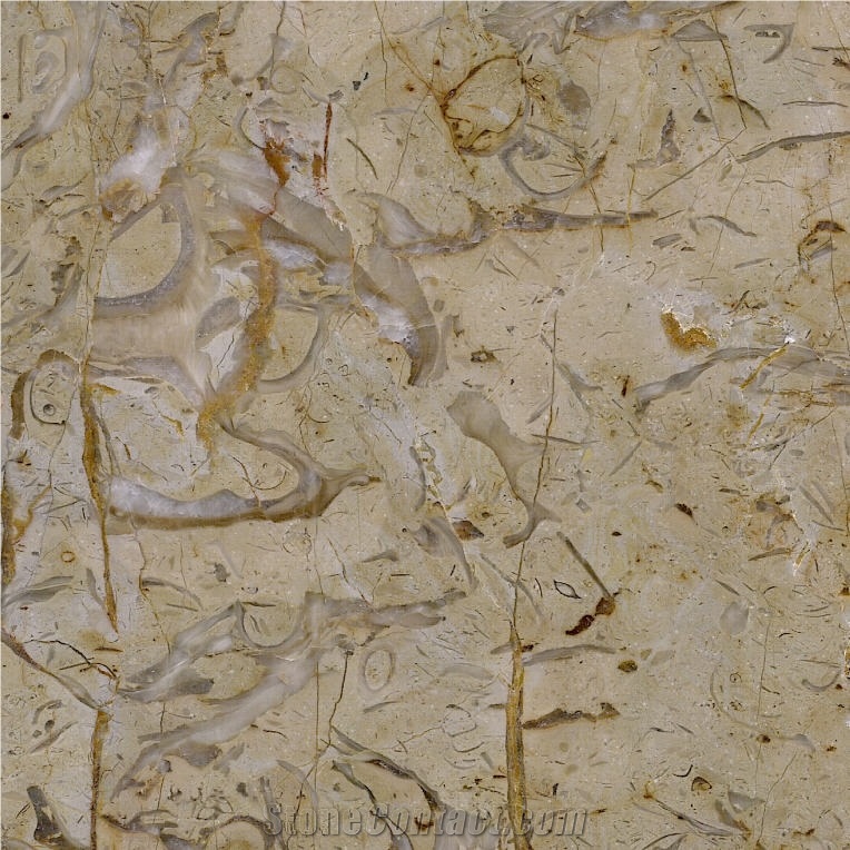 Golden Flower Limestone Tile