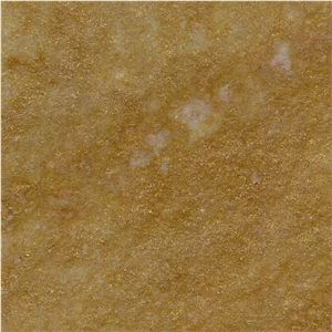 Golden Nautilus Quartzite Tile