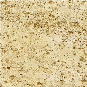 Golden Oasis Limestone