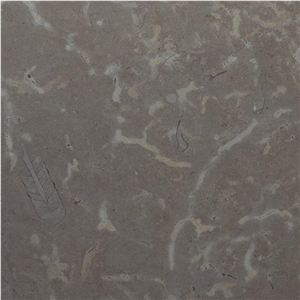 Grabrun Borghamn Limestone