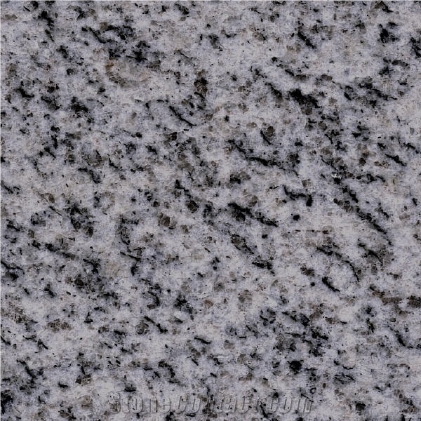 Gray Isis Granite 