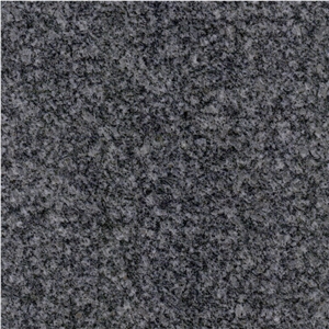 Grey Shandong Granite Tile