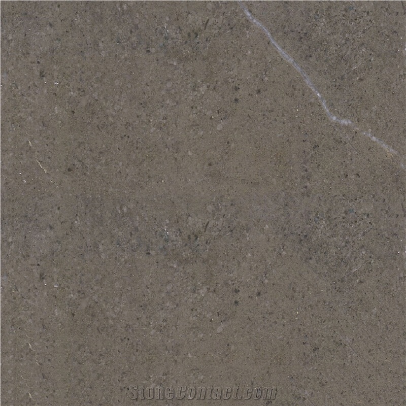 Grey Venice Limestone 
