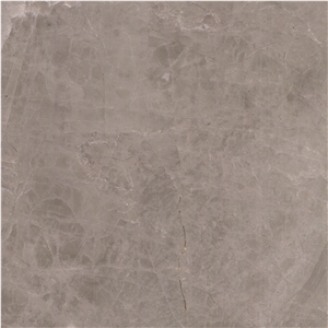 Grey Wolf Marble Tile