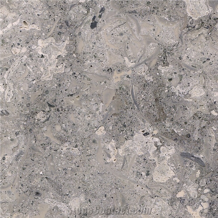 Grigio Alpi Limestone 