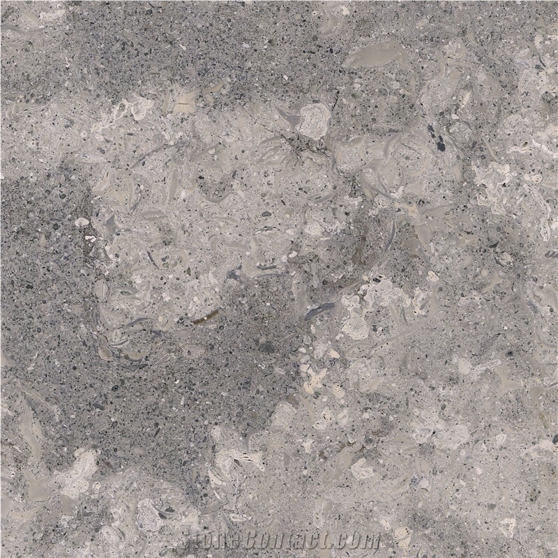 Grigio Argento Limestone Tile