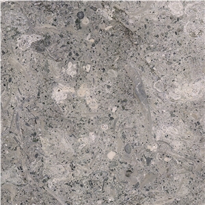 Grigio Argento Limestone