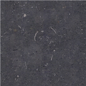 Gris de Catalan Limestone