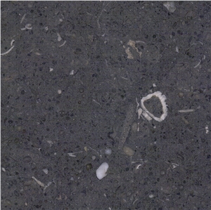 Gris de Catalan Limestone