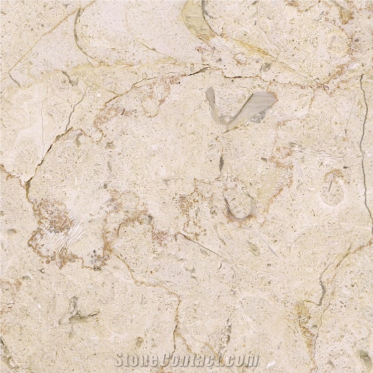 Hebron Cream Limestone Tile