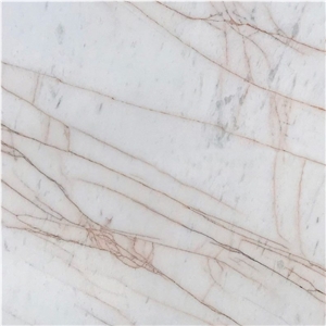 Hermes Spider Marble