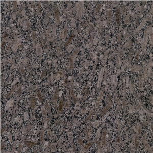 Ice Silver Brown Granite