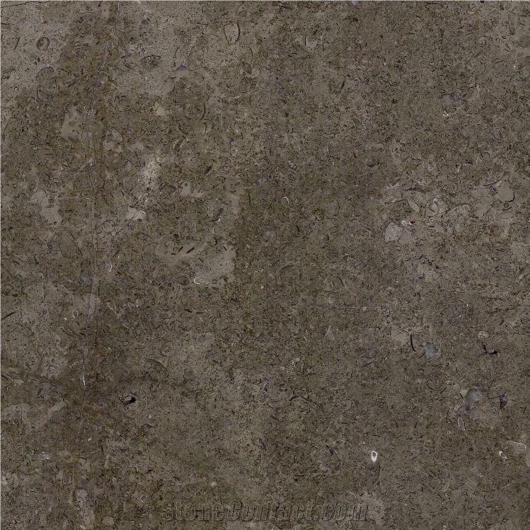 Imperial Grey Limestone Tile