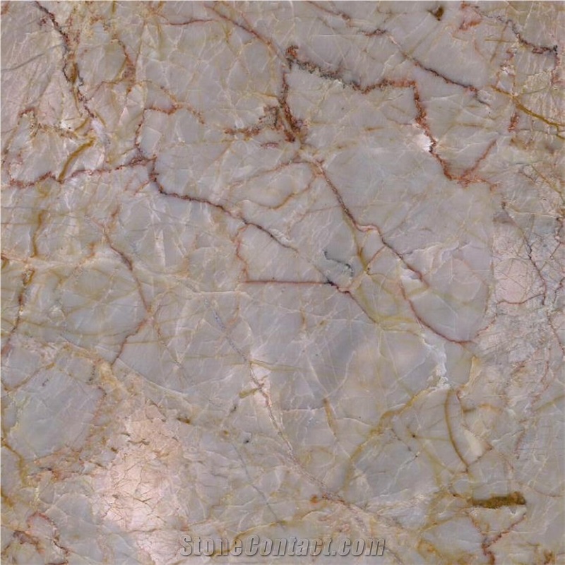 Iran Spider Red Marble Tile