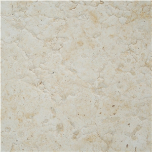 Jerusalem Bone A-16 Limestone
