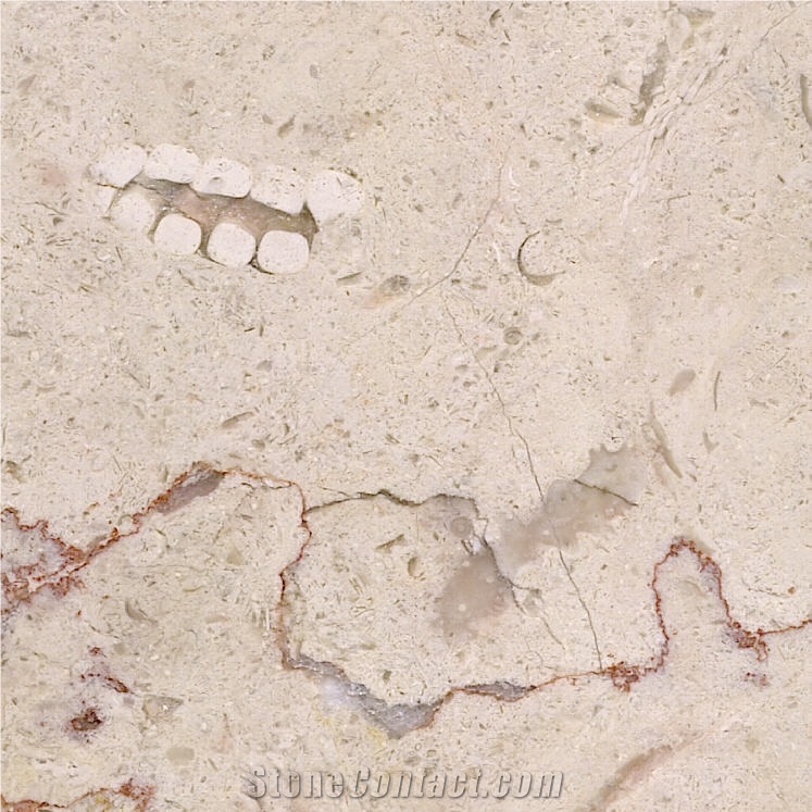 Jerusalem Cream Limestone 
