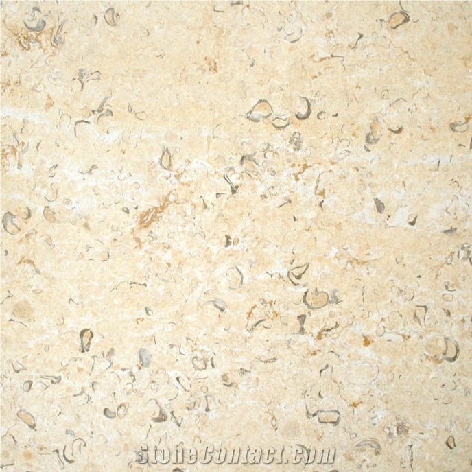 Jerusalem Golden Shell Limestone Tile