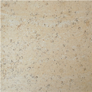 Jerusalem Golden Shell Limestone